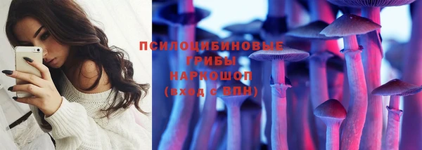 таблы Алексин