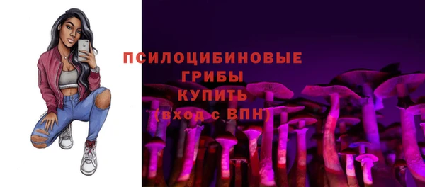 винт Алзамай