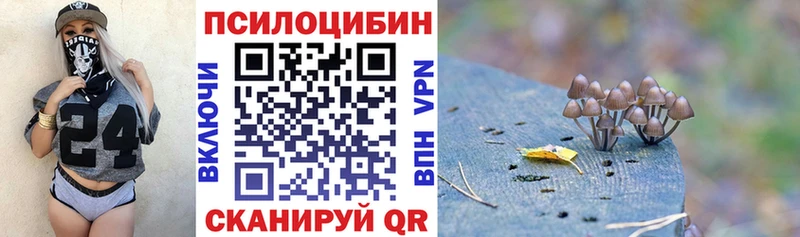 Галлюциногенные грибы Psilocybine cubensis Северская